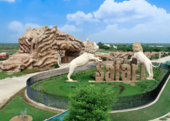 इटावा लायन सफारी में विस्तार ,  21 हेक्टेयर क्षेत्र बढ़ा, पर्यटकों के अनुभव में होगा बड़ा बदलाव