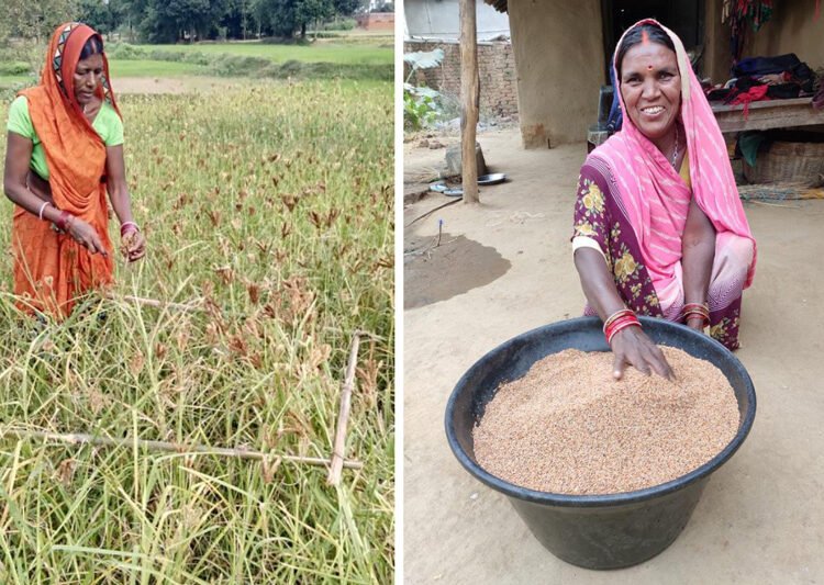 महिलाओं को 30 हजार रुपये, किसानों को मुफ्त बिजली और सरकारी कर्मचारियों को गृह जिले में पोस्टिंग का वादा : तेजस्वी यादव