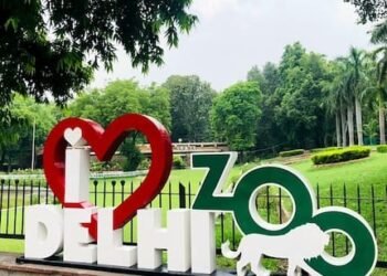 दिल्ली चिड़ियाघर में ‘एक दिन के लिए पशु गोद’ योजना मार्च से, बाघ के लिए लगभग 50 हजार शुल्क