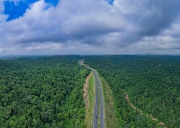 हरे-भरे इलाकों में लगाए निगरानी केंद्र