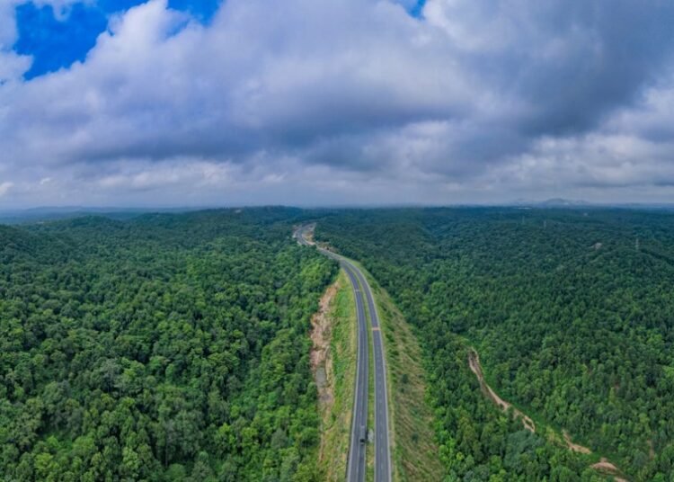 हरे-भरे इलाकों में लगाए निगरानी केंद्र