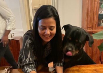 ‘हेनरी’ डॉग की कस्टडी को लेकर हाईकोर्ट पहुंचीं महुआ मोइत्रा, 29 अप्रैल को सुनवाई