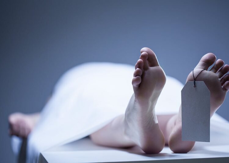 झारखंड : दुमका में पुलिस इंस्पेक्टर कार्यालय के पीछे मिले महिला और बच्ची के शव, हत्या की आशंका